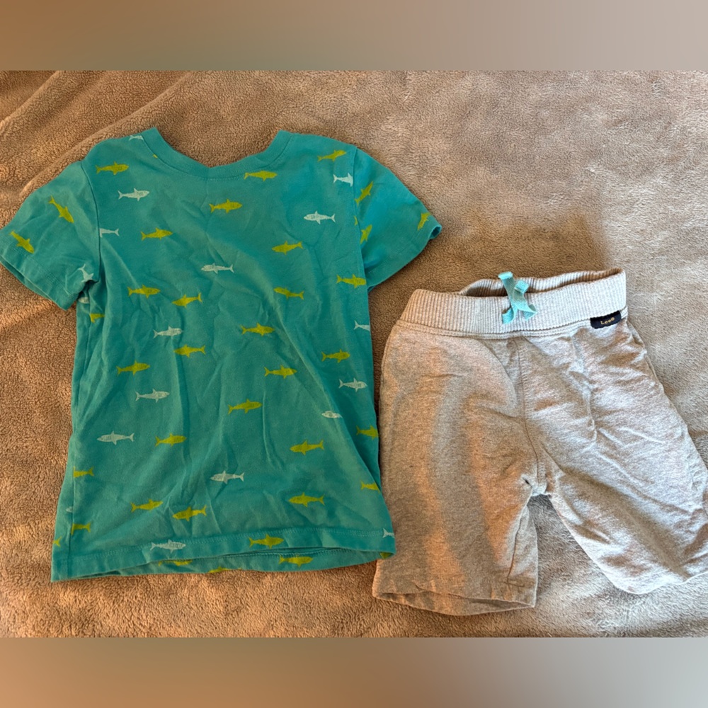 Gray Shorts and Shark Print Shirt Set